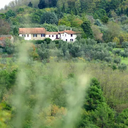 Il Podere La Casina Monsummano Terme