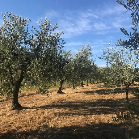 Il Podere La Casina