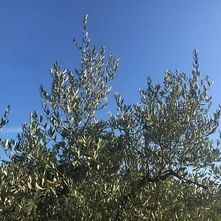 Il Podere La Casina 3*