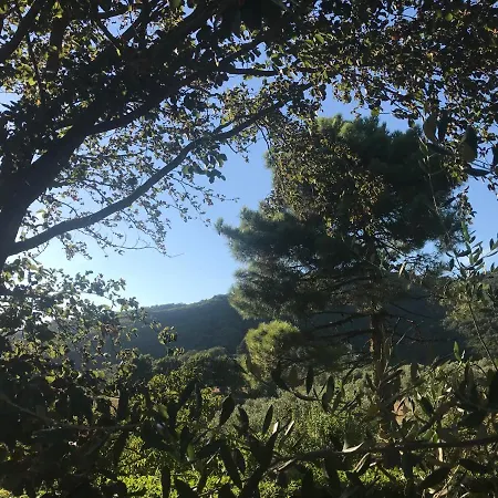 Гостевой дом Il Podere La Casina Monsummano Terme