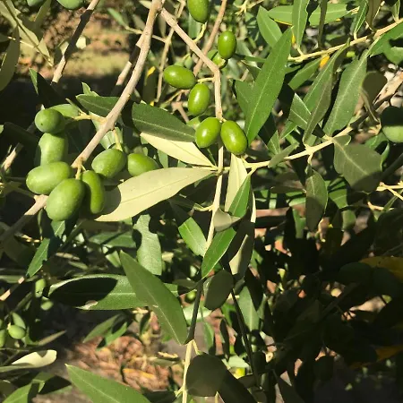 Il Podere La Casina 3*