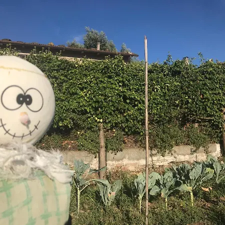 Il Podere La Casina