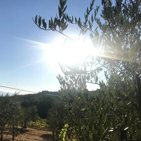 Il Podere La Casina Monsummano Terme