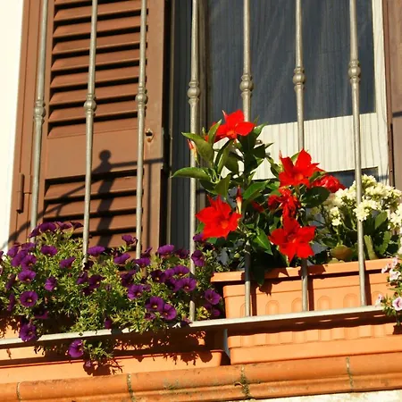 Il Podere La Casina Monsummano Terme