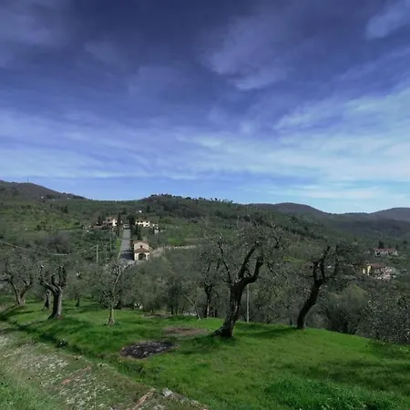 Il Podere La Casina 3* Monsummano Terme