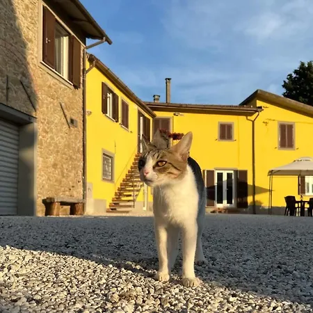 Guest house Il Podere La Casina Monsummano Terme